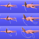 Illustration for article titled These Ancient Marine Reptiles Swam Through the Water Like Penguins
